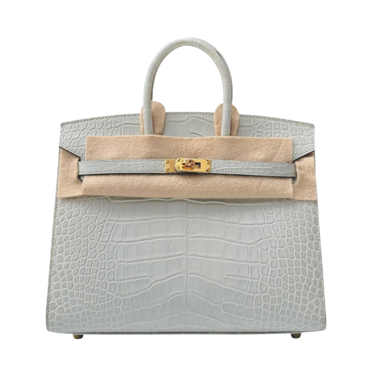 Hermès Birkin 25 Gris Neve Sellier Matte Alligator GHW